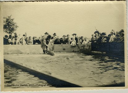 Altes Foto Robbenanlage, als Robbe aus Wasser kommt