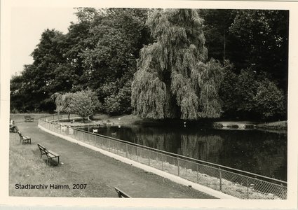 Altes Foto vom Teich