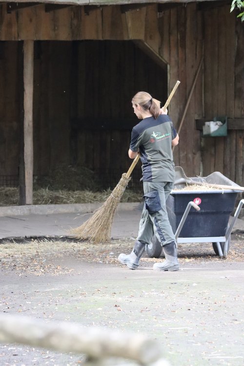 Tierpflegerin fegt Tiergehege