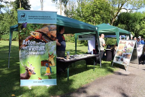 Stand beim Artenschutztag mit grünem Pavillon